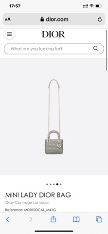 LADY DIOR 미니 백 그레이 까나쥬 양가죽