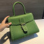 Delvaux Brillant MM Surpiqué 그레인 송아지 가죽 그린