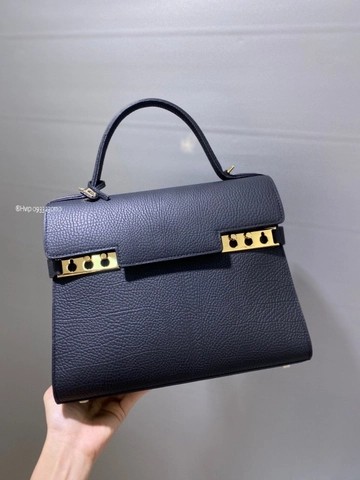 크리스피 카프 소재의 Delvaux Tempête MM AA0611AMF 블랙 GHW