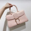 Delvaux Brillant MM 로데오 송아지 가죽 핑크(가로형)