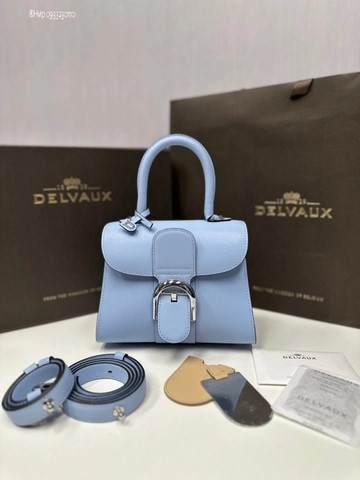 Delvaux Brillant MINI 박스 카프 아주르