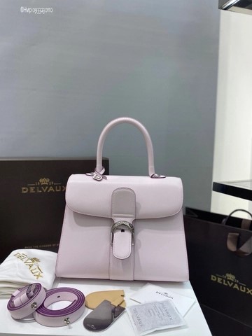 Delvaux Brillant MM 박스 카프 핑크