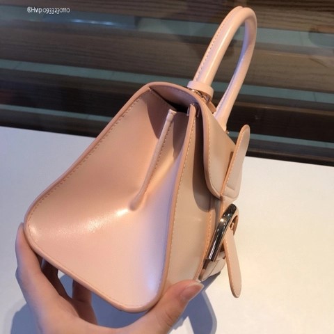 Delvaux Brillant MINI 박스 카프 로즈