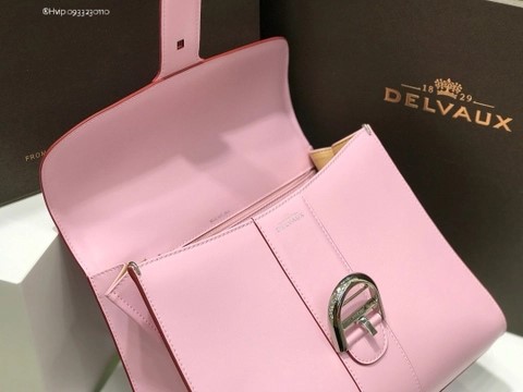 Delvaux Brillant MM 박스 카프 핑크