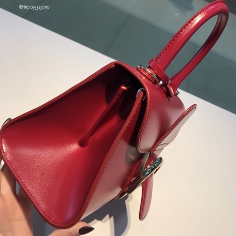 Delvaux Brillant MINI 박스 카프 와인