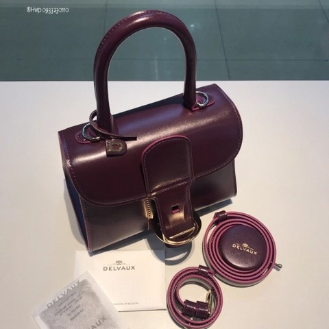 Delvaux Brillant MINI 박스 카프 버건디